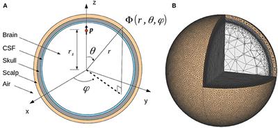 Corrected Four-Sphere Head Model for EEG Signals